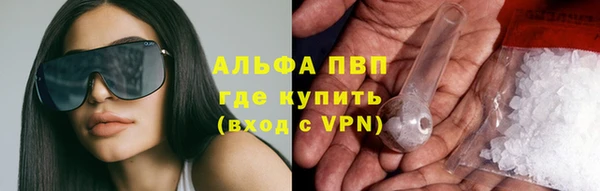 сатива Касимов