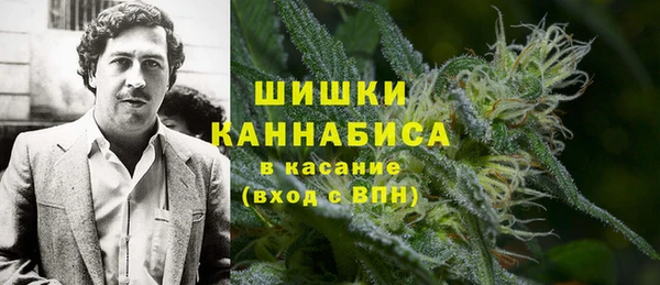 сатива Касимов