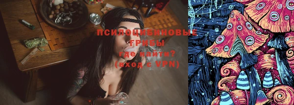 таблы Нижний Тагил
